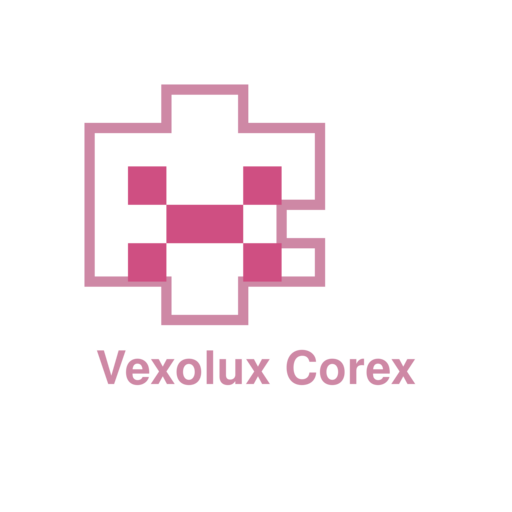 Логотип Visionway